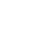 Frozen Icon